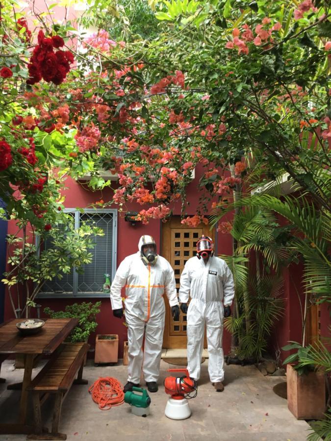 فارو Figuras House Luxury Villa المظهر الخارجي الصورة